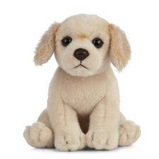Nature Golden Retriever Puppy