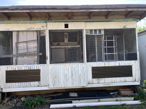 Free pigeon loft - pigeon,
