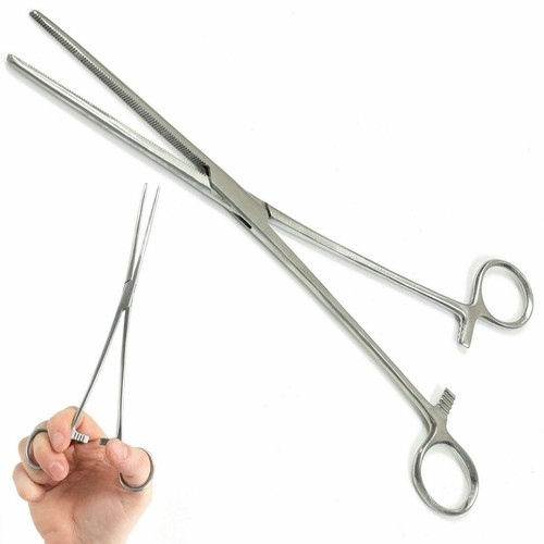 Stainless steel - steel, 6''