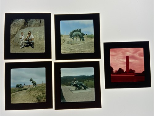 Vintage medium format - medium,
