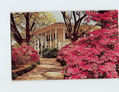 Postcard the mitchell - the, home