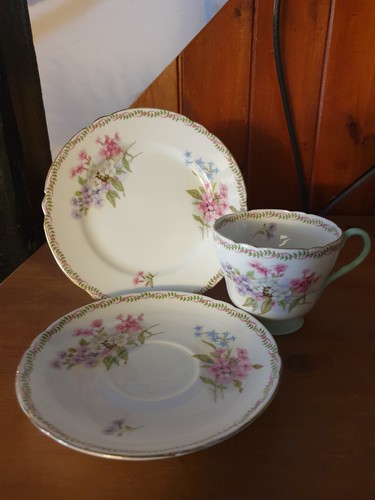 Shelley bone china - shelley,