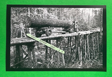 Found PHOTO of an Old Lumber