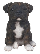 Staffy bull terrier brindle - staffy,