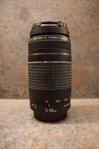 Canon 300mm 5 - 75-300mm, f/4-5.6