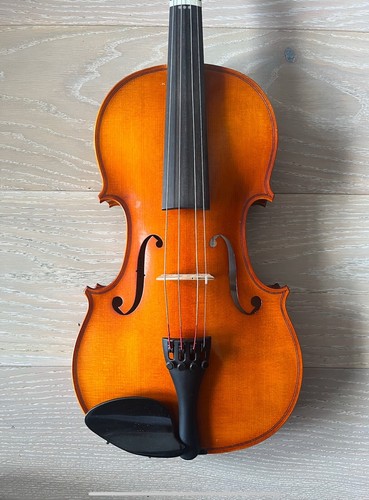 Karl hofner violin - karl,