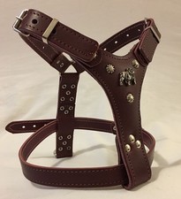 BRITISH BULLDOG SMALL/PUPPY