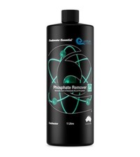 Freshwater green algae - freshwater,