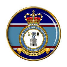 RAF Station Coltishall Pin