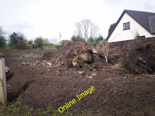 Photo 12x8 building plot - photo,