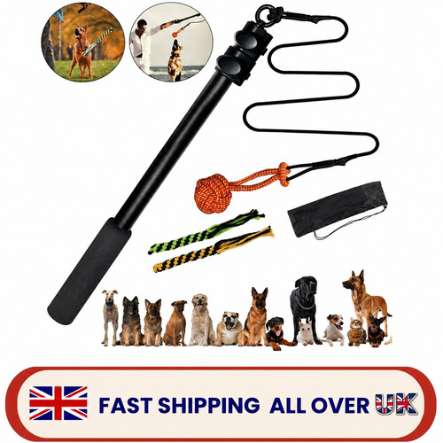 Extendable flirt pole - extendable, for