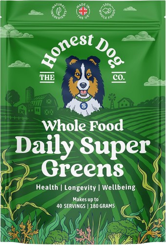 Honest dog daily super - daily,
