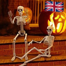 Skeleton Model Anatomy Skeleton Skeleton Learning Aid Halloween Party Decoration
