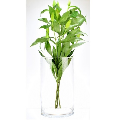 Cylindrical vase candle - cylindrical,
