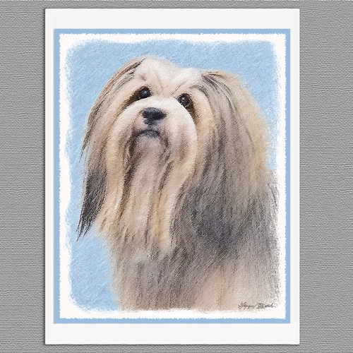 Havanese dog silver - havanese, blank