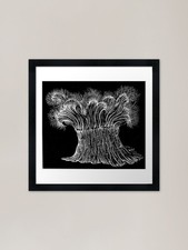 Fully expanded sea anemone