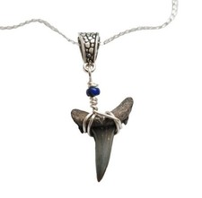 Sand shark tooth necklace with
