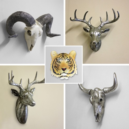 Animal buffalo ram tiger - animal,