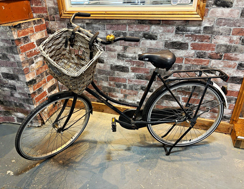 Women dutch bike with - dutch, back