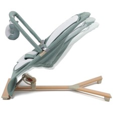 Baby Bouncer Compact Bouncy