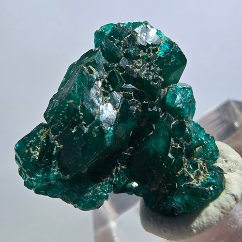 Rare dioptase stage - stage,, green