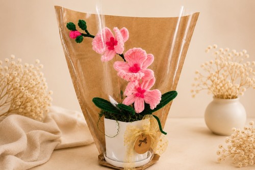 Pink orchid pot - pink, in