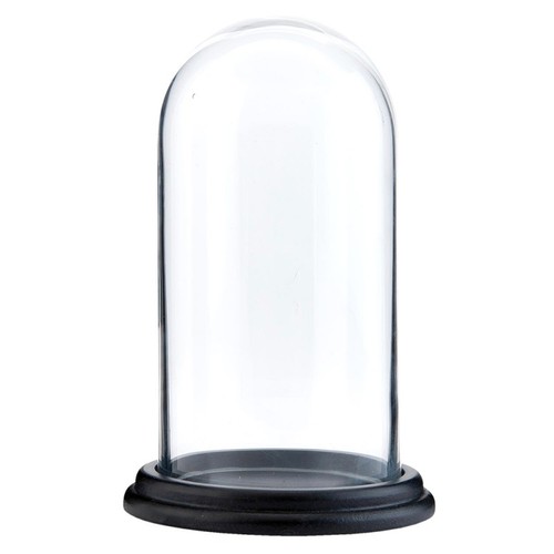 Glass display cloche bell jar - display,