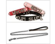 Collar and Chain Leash Set