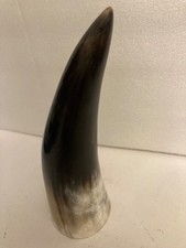 Real Animal Horn Polished 6” tall 2” wide dark brown & cream