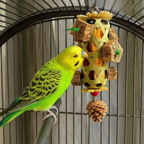 Pet bird chew toy natural - pet,