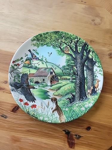 Wedgewood bone china plate - bone,