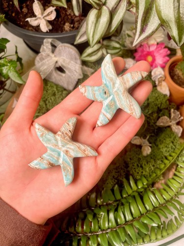 Smithsonite starfish - 2x,