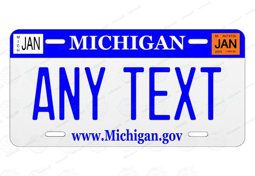 Vintage michigan 2003 - vintage,