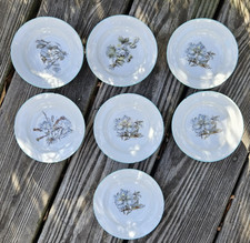 7 RARE Antique Haviland