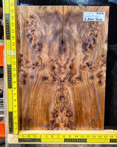 Elm burl guitar top - elm,