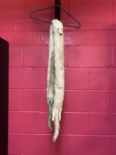 Genuine vintage mink fur stole - genuine,