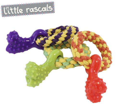 Little rascals puppy - little,