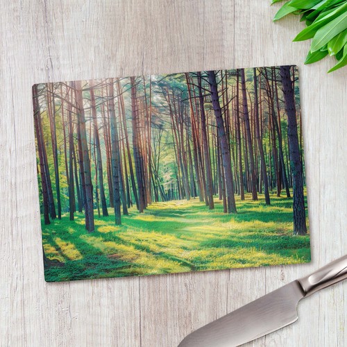 Tall forest trees scenery - tall,