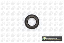 Crankshaft Oil Seal for LTI