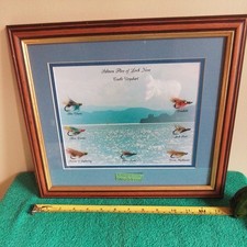 Framed Salmon Files Of Loch