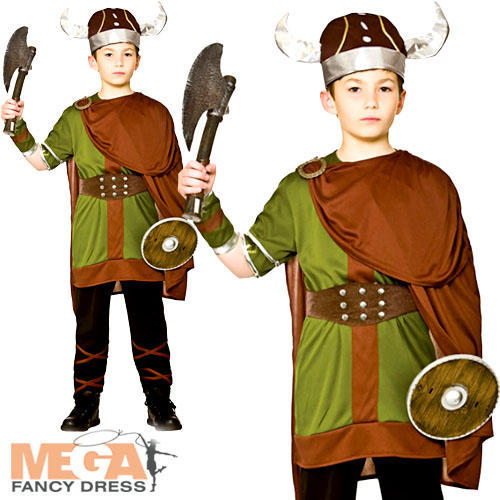 Viking warrior boys fancy - boys,