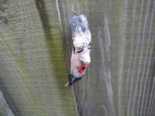 driftwood man -5 inch size