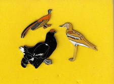 RSPB Pin Badge - three random badges NO cards