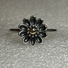 Genuine New Pandora Two Tone