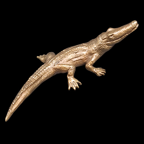 Pete smit bronze - bronze, crocodile