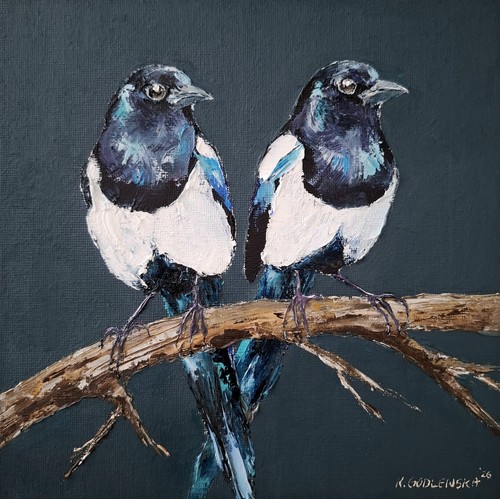 Magpie portrait fine art - fine,