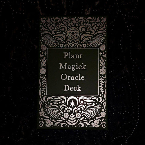 Witch casket exclusive plant - casket,