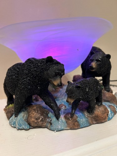 Vintage bears color changin - vintage,
