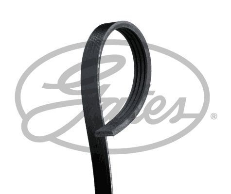 Gates 4pk955 ribbed belt - v-ribbed,