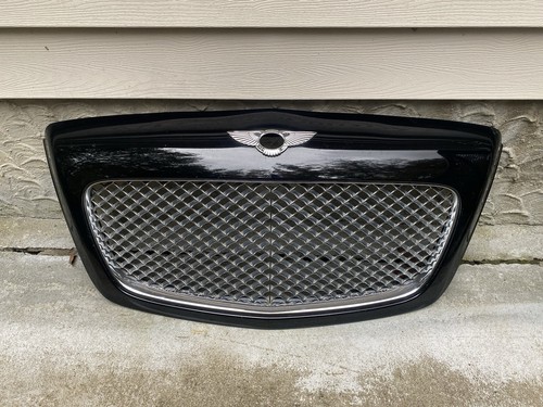 Front hood grille - front,